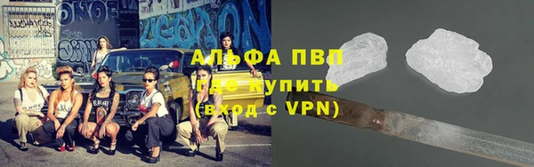 a pvp Новозыбков