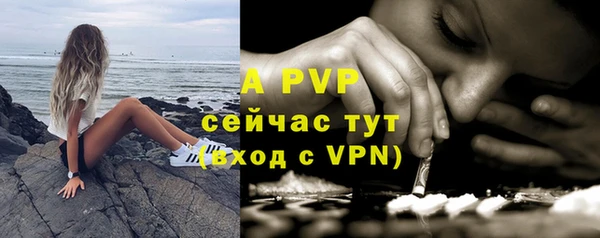 a pvp Новозыбков