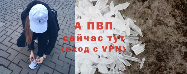 a pvp Новозыбков