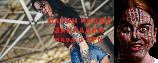 a pvp Новозыбков