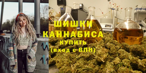 a pvp Новозыбков