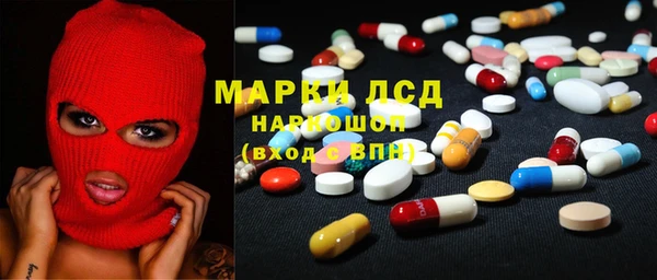 a pvp Новозыбков