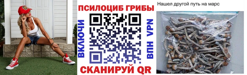 как найти   дарк нет официальный сайт  Галлюциногенные грибы Magic Shrooms  Чистополь 