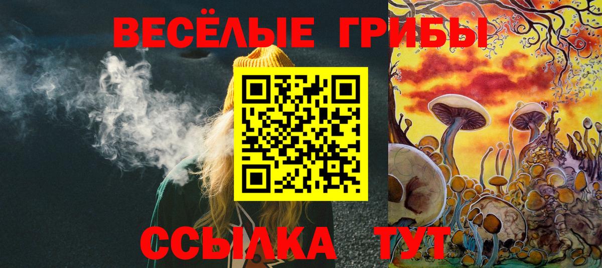где купить наркотик  Галлюциногенные грибы GOLDEN TEACHER  Вход с VPN  Галлюциногенные грибы Psilocybe  Чистополь 